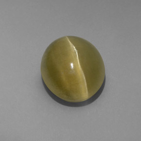 4.80克拉天然绿色Cat's Eye Apatite，透明，10.6×8.9毫米，透明/半透明