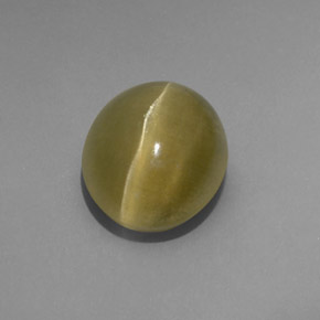 4.80克拉天然绿色Cat's Eye Apatite，透明，10.6×8.9毫米，透明/半透明