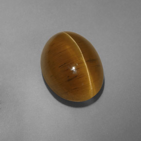 9.54克拉天然黄色Cat's Eye Apatite，透明，14.4×10.5毫米，透明/半透明