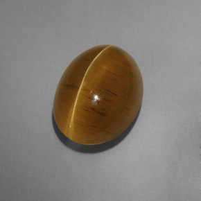 9.54克拉天然黄色Cat's Eye Apatite，透明，14.4×10.5毫米，透明/半透明