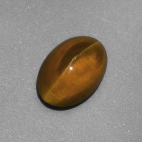 2.02克拉天然黄色Cat's Eye Apatite，透明，8.3×5.9毫米，透明/半透明