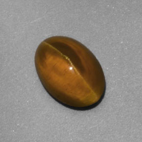 2.02克拉天然黄色Cat's Eye Apatite，透明，8.3×5.9毫米，透明/半透明