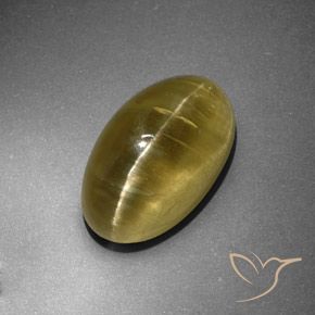 12.95ct 天然 土黄色 猫眼磷灰石, 椭圆形, 半透明