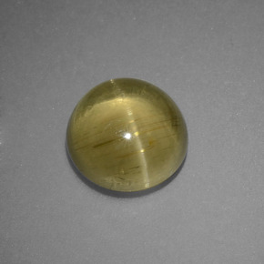 3.69克拉天然绿色Cat's Eye Apatite，圆形切割，9.22毫米，半透明