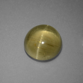 3.69克拉天然绿色Cat's Eye Apatite，圆形切割，9.22毫米，半透明