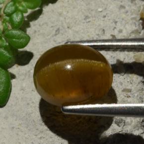 3.16克拉天然猫眼磷灰石，椭圆形切割，半透明