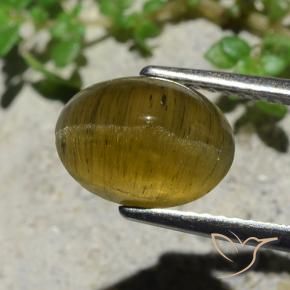 3.38克拉天然猫眼磷灰石，椭圆形切割，半透明