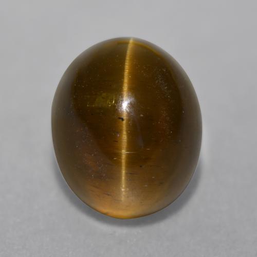 7.22克拉天然棕色Cat's Eye Apatite，椭圆形切割，11.4×9.4毫米，半透明