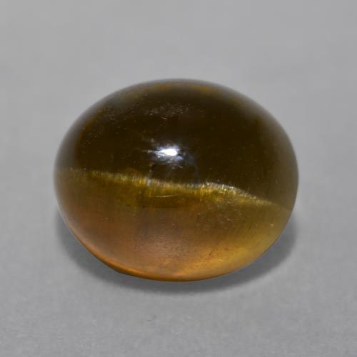 7.22克拉天然棕色Cat's Eye Apatite，椭圆形切割，11.4×9.4毫米，半透明