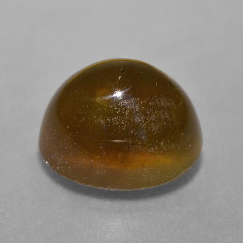 7.22克拉天然棕色Cat's Eye Apatite，椭圆形切割，11.4×9.4毫米，半透明