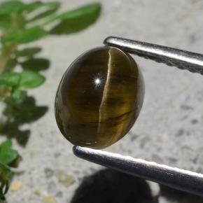 2.01克拉天然猫眼磷灰石，椭圆形切割，半透明