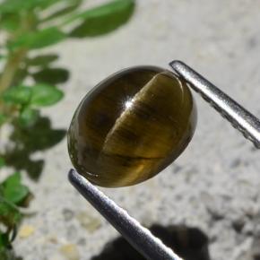 2.01克拉天然猫眼磷灰石，椭圆形切割，半透明