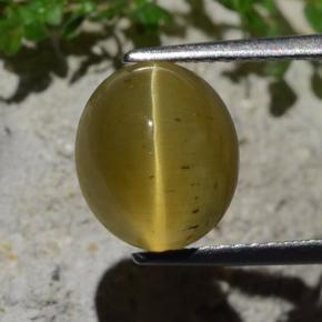 4.46克拉天然猫眼磷灰石，椭圆形切割，半透明