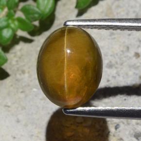 2.93克拉天然绿色Cat's Eye Apatite，椭圆形切割，9.1×7.3毫米，半透明