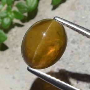 2.93克拉天然绿色Cat's Eye Apatite，椭圆形切割，9.1×7.3毫米，半透明