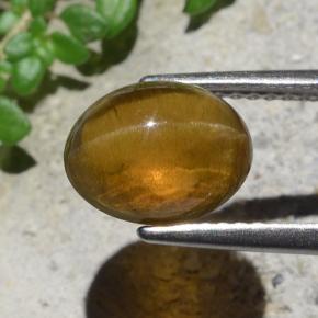 2.93克拉天然绿色Cat's Eye Apatite，椭圆形切割，9.1×7.3毫米，半透明