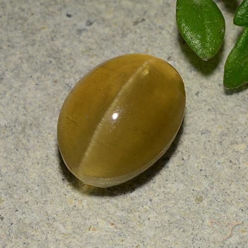 3.14ct 天然 黄棕色 猫眼磷灰石, 椭圆形, 半透明