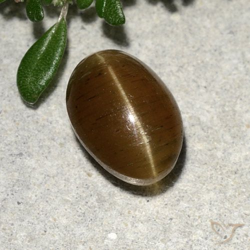 2.64克拉天然猫眼磷灰石，椭圆形切割，半透明