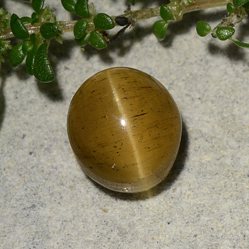 2.60克拉天然金色Cat's Eye Apatite，椭圆形切割，7.7×6.9毫米，半透明