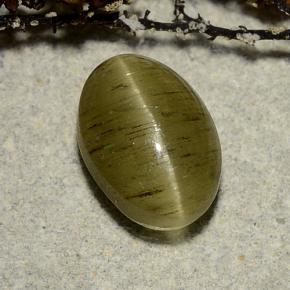 3.32克拉天然绿色Cat's Eye Apatite，椭圆形切割，10×7毫米，半透明