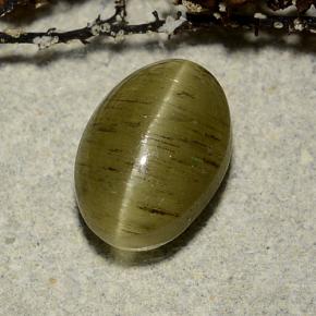 3.32克拉天然绿色Cat's Eye Apatite，椭圆形切割，10×7毫米，半透明
