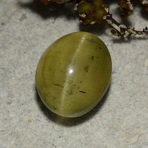 3.68克拉天然猫眼磷灰石，椭圆形，半透明