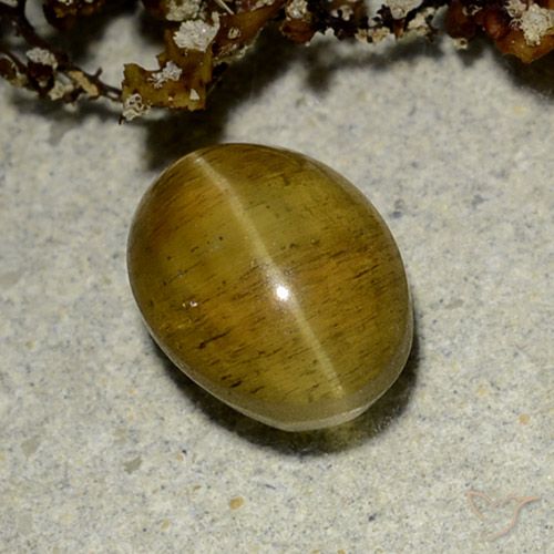 2.50ct 天然 黄棕色 猫眼磷灰石, 椭圆形, 半透明
