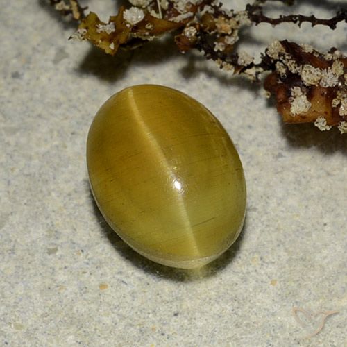 2.68克拉天然黄色Cat's Eye Apatite，椭圆形切割，9.1×6.7毫米，半透明