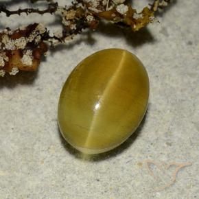 2.68克拉天然黄色Cat's Eye Apatite，椭圆形切割，9.1×6.7毫米，半透明