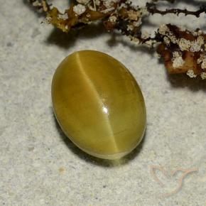 2.68克拉天然黄色Cat's Eye Apatite，椭圆形切割，9.1×6.7毫米，半透明