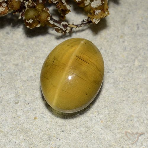 2.82克拉天然猫眼磷灰石，椭圆形，半透明