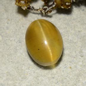 2.57克拉天然黄色Cat's Eye Apatite，椭圆形切割，8.7×6.4毫米，半透明