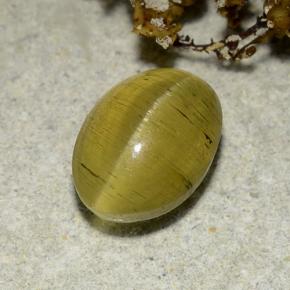 2.83克拉天然金色Cat's Eye Apatite，椭圆形切割，9.4×6.8毫米，半透明