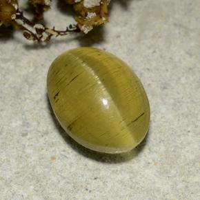 2.83克拉天然金色Cat's Eye Apatite，椭圆形切割，9.4×6.8毫米，半透明