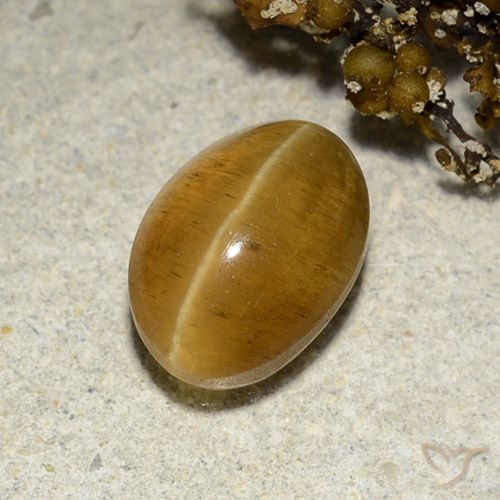 3.48ct 天然 金棕色 猫眼磷灰石, 椭圆形, 半透明