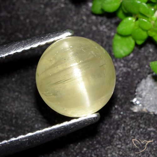 3.41ct 天然 中黄色 猫眼磷灰石, 圆形的, 半透明