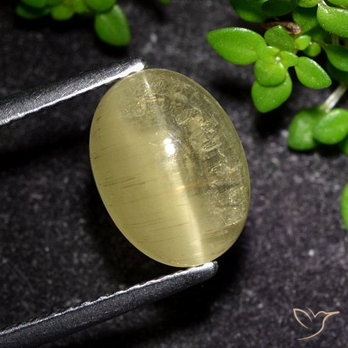 3.09ct 天然 中黄色 猫眼磷灰石, 椭圆形, 透明