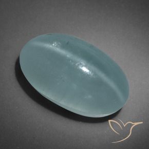 16.01克拉天然猫眼海蓝宝石，椭圆形，半透明