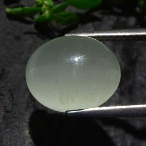 7.13克拉天然绿色Cat's Eye Aquamarine，椭圆形切割，12.2×9.8毫米，半透明