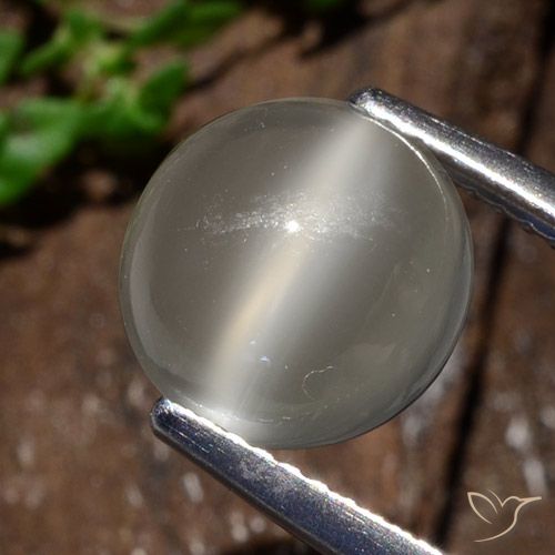 3.25ct 天然 暖白 猫眼月光石, 圆形的, 半透明
