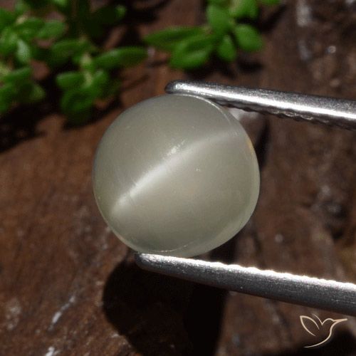 2.30ct 天然 淡黄色 猫眼月光石, 圆形的, 半透明