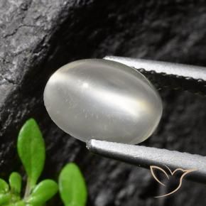 1.94克拉天然猫眼月光石，椭圆形切割，透明