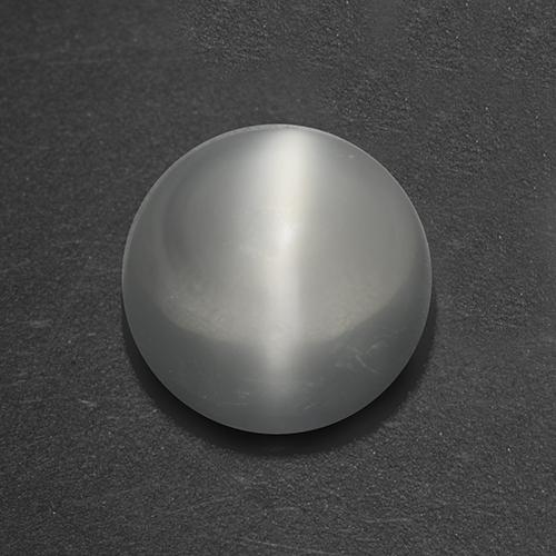 1.54ct 天然 白色 月光石猫眼, 圆形的, 透明