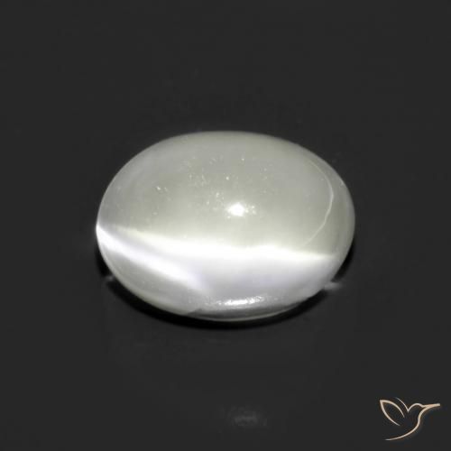 1.62ct 天然 白色 月光石猫眼, 椭圆形, 半透明