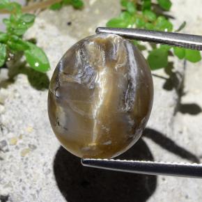 12.43克拉天然猫眼蛋白石，椭圆形切割，不透明