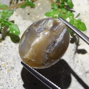 12.43克拉天然猫眼蛋白石，椭圆形切割，不透明