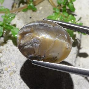 12.43克拉天然猫眼蛋白石，椭圆形切割，不透明