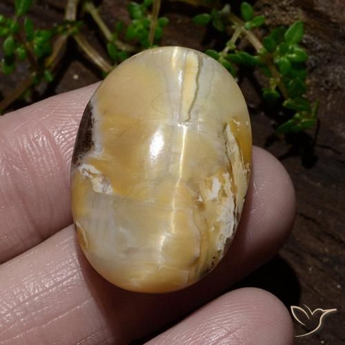 31.48ct 天然 彩色 猫眼蛋白石, 椭圆形, 不透明