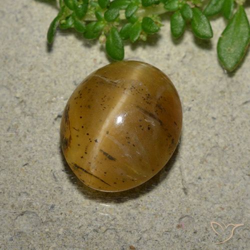 3.94ct 天然 金棕色 猫眼蛋白石, 椭圆形, 半透明