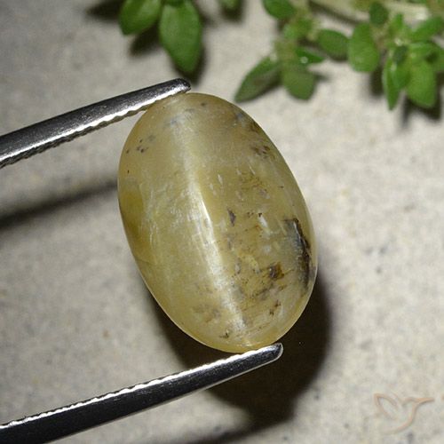 7.86ct 天然 中黄色 猫眼蛋白石, 椭圆形, 半透明